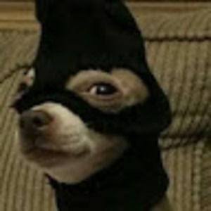 Meet your Posher, Spartakus